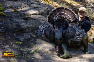 Bradley's 2021 California Rio Grande Gobbler